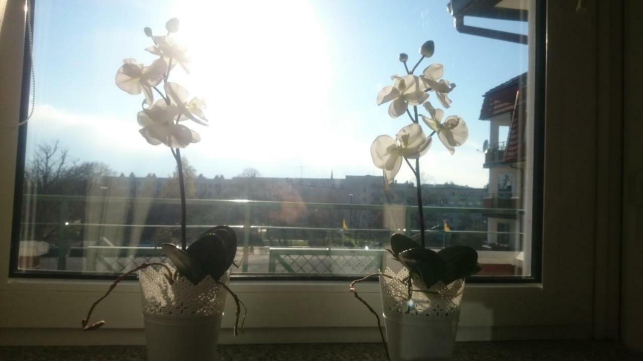 קולובז'ג Apartament Mieszka מראה חיצוני תמונה